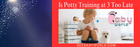 Is Potty Training at 3 Too Late | Baby World