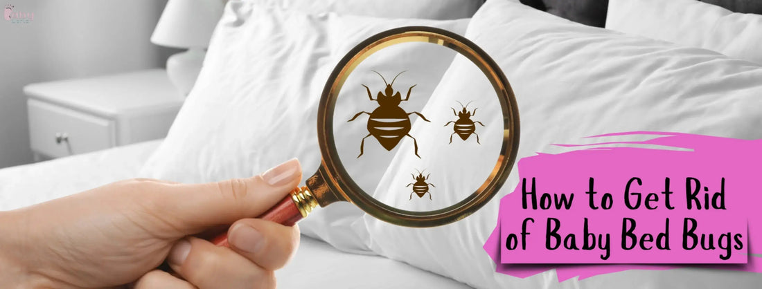 How-to-Get-Rid-of-Baby-Bed-Bugs-Effective-and-Easy-Methods Baby World