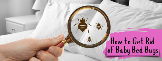How to Get Rid of Baby Bed Bugs: Effective and Easy Methods