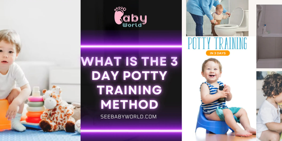 What is the 3 Day Potty Training Method? Step by Step Guide — Baby World