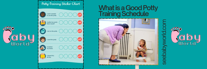 What is a Good Potty Training Schedule | Baby World