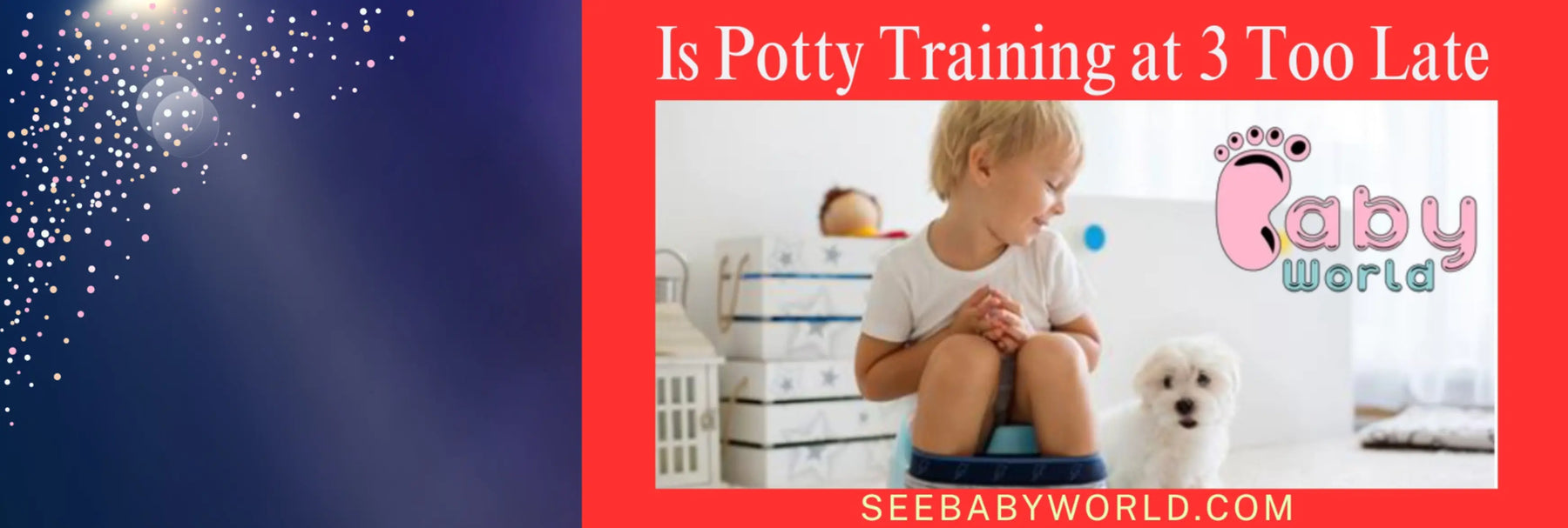 Is Potty Training at 3 Too Late | Baby World