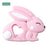 Bunny Silicone Teether - Baby World